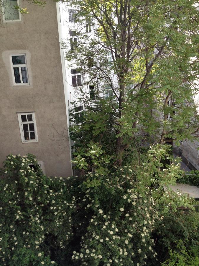 Augartenblick Penthouse 15 Viena Exterior foto